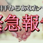 お相手からあなたへ緊急報告があります💖恋愛タロット占い