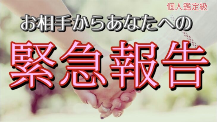 お相手からあなたへ緊急報告があります💖恋愛タロット占い