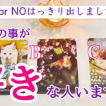 【⚠️YES or NOはっきり❗️】今私の事が好きな人はいるの？タロット、タロット占い、恋愛