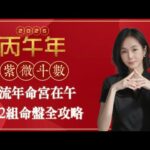 丙午年流年命宮在午｜2026流年運勢｜十二組流年命盤｜紫微斗數十四主星組合｜同機昌廉｜馬上有福🐎🧧
