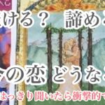 【衝撃的】出たまま、はっきり。辛めもあります。この恋、諦める？続ける？【恋愛💖タロット】