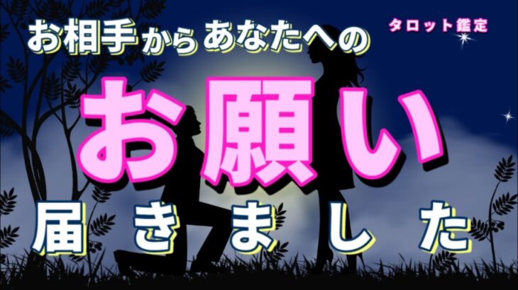 【緊急】お相手からあなたへのお願いが届きました😳恋愛タロット占い