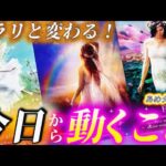 【本当に変わる✨】ガラリと変わります❗️運命を受け入れて❗️あなたとあなたの周りで今日を境に動くことがあります。個人鑑定級✨タロット占い