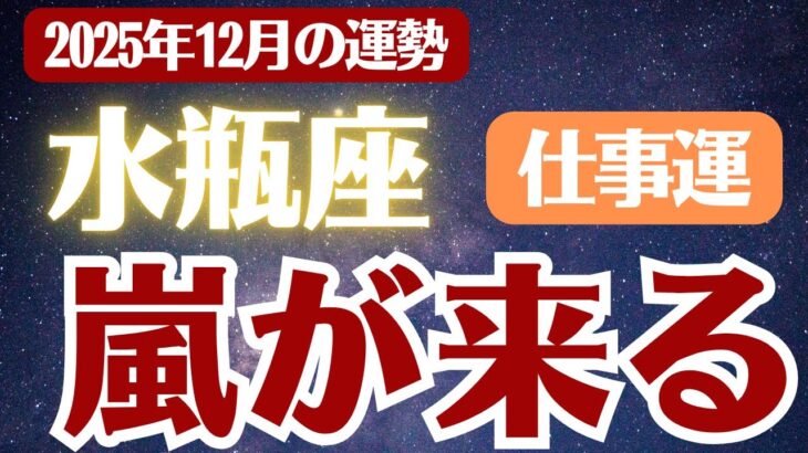 【水瓶座】2025年12月 みずがめ座の運勢 仕事運「嵐が来る」