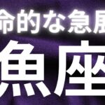 魚座✨運命的な急展開✨あなたの好きが本当にわかる時