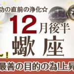 さそり座さんへ♎️【12月後半】不死鳥のごとく蘇る☆再生の直前の浄化☆気が重い事や悩み停滞している事は上昇しだす♦︎ひらめき/浄化/蛹から蝶へ変容 ポイント…エネルギー回復☆アファメーションで引き寄せ