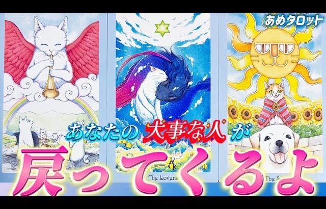 【再会・復縁💓】あの人が戻ってくる✨たまたまこの動画を見たあなただけへの💌ツインレイ・運命の人　個人鑑定級タロット