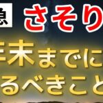 【蠍座】2025年で魂の脱皮は完了｜2026年に向けて年末に必ずやるべき開運行動
