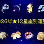 2026年12星座別の運勢～全体運、仕事運、対人関係運、健康運、開運アドバイス～