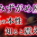 みずがめ座《99％が知らない》最強と最恐の裏側【水瓶座の本性と宿命】