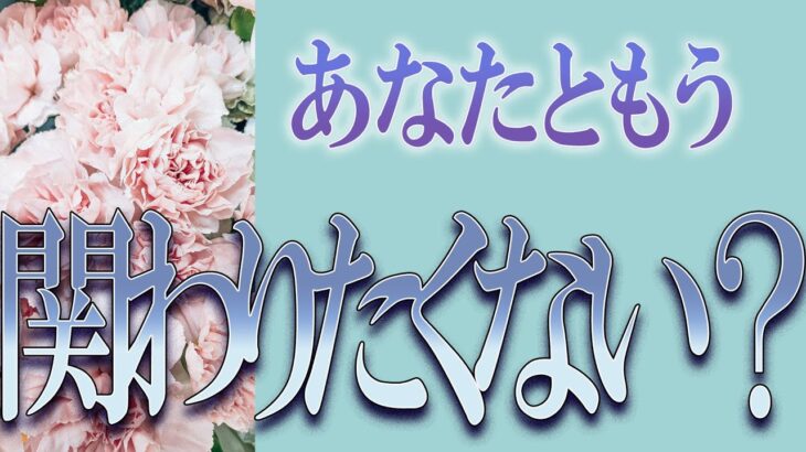 【タロット占い】【恋愛】【復縁】【相手の気持ち】忖度一切いたしません🌶️あなたともう、関わりたくない❓😢💣💀💣【恋愛占い】