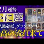【かに座♋️12月運勢】うわっすごい！個人鑑定級のグランタブローリーディング✨最高の幸運の流れが来る月✨冬至までの浄化でありえない奇跡の扉が開く（仕事運　金運）タロット＆オラクル＆ルノルマンカード