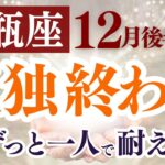 【水瓶座さん】12月後半から１月前半の「みずがめ座」〜孤独終わる　ずっと一人で耐えてた〜