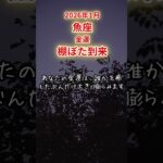 【魚座限定（金運）】1月 うお座の運勢は「棚ぼた到来」#魚座 #うおざ #うお座