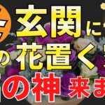 【金運アップ】冬の玄関にこの花飾って！風水アドバイザーが解説