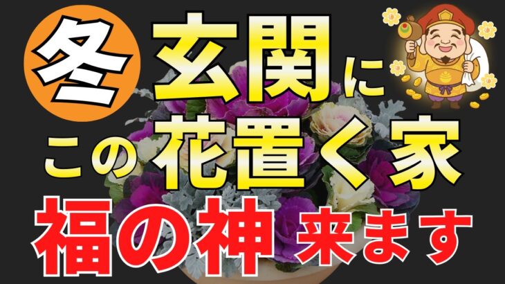 【金運アップ】冬の玄関にこの花飾って！風水アドバイザーが解説