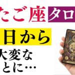 12/20✨️ふたご座♊タロットの暗示！驚きを隠せないほど衝撃的な変化が始まる！※8秒以内に再生しないと幸福がすり抜けます【運勢】