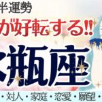 【水瓶座】感涙🥲！これを待ってた！最っ高のお時間を..🥂✨ [仕事/対人/家庭/恋愛/願望/全体運] 細密リーディング/2026年2月前半/タロット占い
