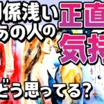 【一部辛口あり】今、関係浅いあの人の正直な気持ち。あなたの印象は？今後仲良くなれる？【恋愛タロット・当たる占い】