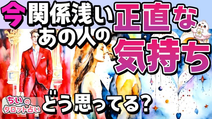 【一部辛口あり】今、関係浅いあの人の正直な気持ち。あなたの印象は？今後仲良くなれる？【恋愛タロット・当たる占い】