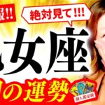 【乙女座】２月運勢❤️超驚❗️超凄‼️🎉神展開キタ㊗️‼️億万長者🌈💰やばい‼️他力で😍メチャクチャ豊かに🎉🌈もう止まらない‼️最高🌈過去輝く🌈一人でがんばらない‼️甘えていい😍どんどん受け取って‼️