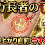 【億万長者の予兆】金運が爆上がりする直前に出る手相15選 #手相 #占い