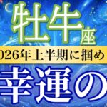 【牡牛座🌊2026年上半期】大開運チャンス！収入と安定が同時に手に入る💰［運勢リーディング＆タロット＆オラクル］
