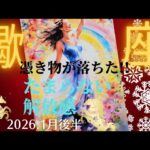 【2026.1月後半🎠】蠍座さんの運勢♏️憑き物が落ちた!!たまらない解放感🌈