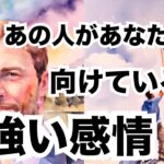 【激白🔥】あの人があなたに向ける強い感情です。個人鑑定級に当たる占い｜恋愛タロット｜ルノルマン｜オラクルカード細密リーディング