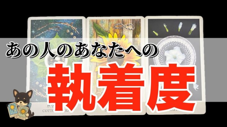【閲覧注意🚨20%•80%•120%】あの人の執着度❤️‍🔥