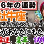 興味だけで人生を豊かに変えられる年！【牡牛座2026年の運勢】