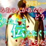 【🦋神回×一部辛口💞 】気になるあの人があなたへどうしても伝えたくてたまらないこと🦋🦄