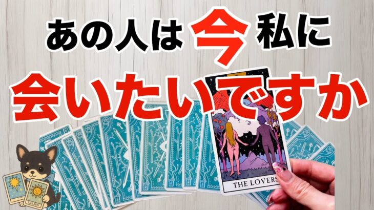 【超神回😍🎊&激辛注意🚒🚨】あの人の本当の気持ちを教えます‼️