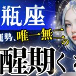 【水瓶座】やはり別格‥🎂時間/対人/仕事全てが味方する2月/新章開幕前の超重要メッセージ【2月運勢/星読みタロット】