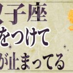 【⚠️怖いほど当たる…】⚠️ 双子座は2月前半にとんでもないことが起こります。運命が切り替わる重要サイン【運勢タロット占い】