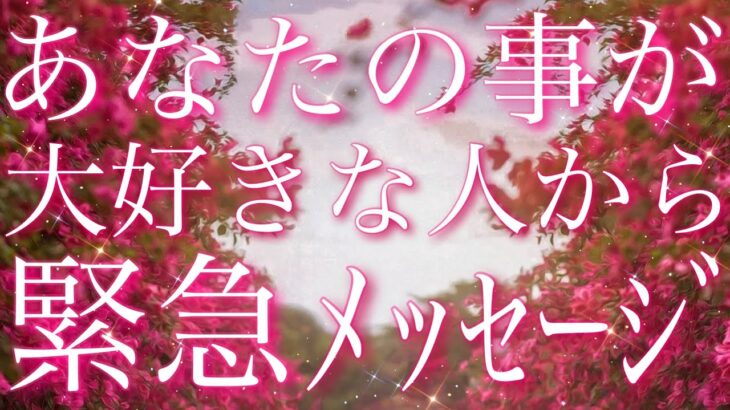 【恋愛】あなたの事が、大好きな人から緊急メッセージ😵‍💫❤️‍🔥📩タロット🔮リーディング