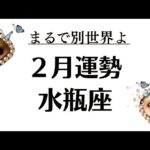 水瓶座はこれまでとレベルが違うの。何もかもガラッと変わんのよ。新章START❗️2026年2月全体運勢💘仕事恋愛評価や印象不安解消💘個人鑑定級タロットヒーリング　Tarot & Oracle