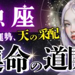 【魚座】超開眼‥‼️全てハッキリする2月。30日以内に照らされる道と超明確サポート🪽【星読みタロット/2月運勢】