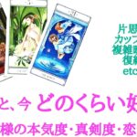 🌹恋愛タロット占い🌹片思いから復縁の方まで💕あの人は私のこと、今どのぐらい好き？お相手様の現状、恋愛モチベーション、あなたへの気持ち、本気度真剣度恋愛温度etc.