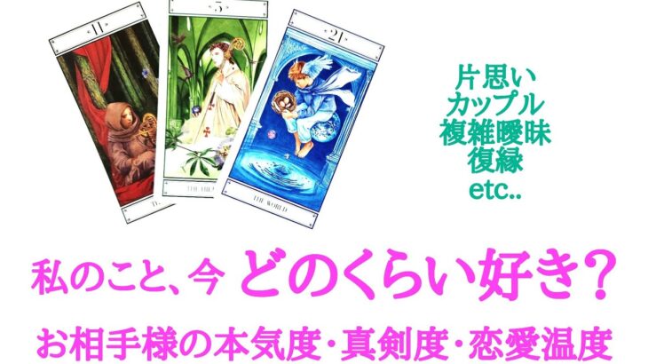 🌹恋愛タロット占い🌹片思いから復縁の方まで💕あの人は私のこと、今どのぐらい好き？お相手様の現状、恋愛モチベーション、あなたへの気持ち、本気度真剣度恋愛温度etc.