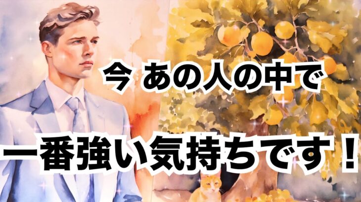 【辛口もある⚡️】今あの人の中で一番強いあなたへの気持ちです。個人鑑定級に当たる占い｜恋愛タロット｜ルノルマン｜オラクルカード細密リーディング