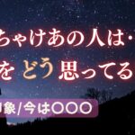 ぶっちゃけ🌟あの人は私の事をどう思ってる？第一印象、今【男心タロット、細密リーディング、個人鑑定級に当たる占い】