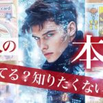君は俺の秘密😳【辛口あり】真意＝本当の気持ち✨お相手さん実は言っていないだけ！根掘り葉掘りの本音🩷【タロット 恋愛占い的リーディング】No.640