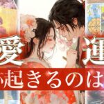 良すぎて震えた､､【2026年恋愛】恋愛黄金期到来！✨12ヶ月の全貌📅パートナーあり 片思い 出会い 復縁 出会い 推し活【タロット 恋愛占い的ストーリー】No.638
