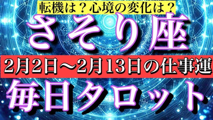 さそり座♏️2月2日から13日までの仕事運タロット1日1枚引き💫転機は？心境の変化は？