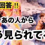 【率直すぎる本音】あの人からあなたはどう見られている？個人鑑定級に当たる占い｜恋愛タロット｜ルノルマン｜オラクルカード細密リーディング