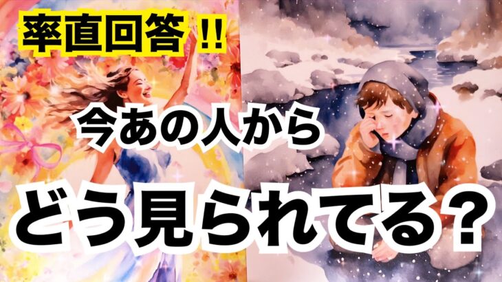 【率直すぎる本音】あの人からあなたはどう見られている？個人鑑定級に当たる占い｜恋愛タロット｜ルノルマン｜オラクルカード細密リーディング