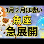 【魚座】1月2月運勢は見逃し厳禁‼️急激に現実化すること🍀🌈💕