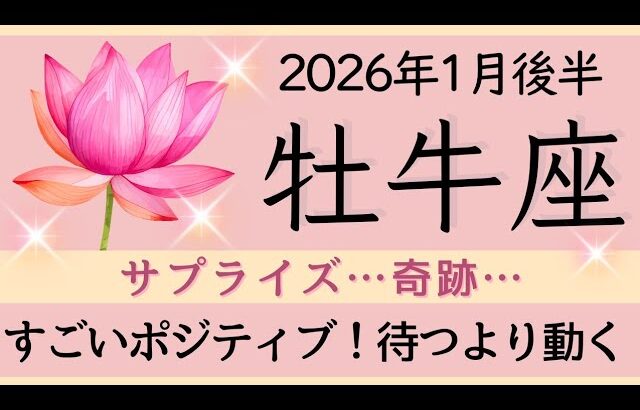 【牡牛座】1月後半✨ミラクル✨奇跡が待っている！努力は報われる！人生を好きになる✦✦オラクルカードリーディング