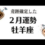 牡羊座の２月ガチで鳥肌でた。物凄い奇跡のパワー。気になる人だけ再生して。2026年2月全体運勢💘仕事恋愛評価や印象不安解消💘個人鑑定級タロットヒーリング Tarot & Oracle
